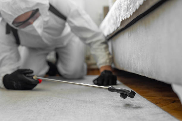 Professional Bed Bug Control technician working in Ravenswood, WV