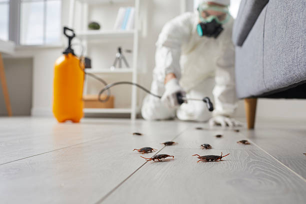 Trusted Fumigation Services service in Ravenswood, WV - Nex Pest Control