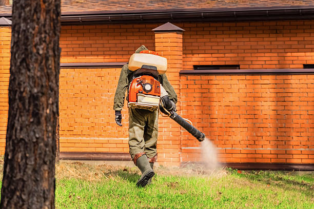 Trusted Cockroach Control service in Ravenswood, WV - Nex Pest Control